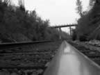 Tracks BW.jpg (57kb)
